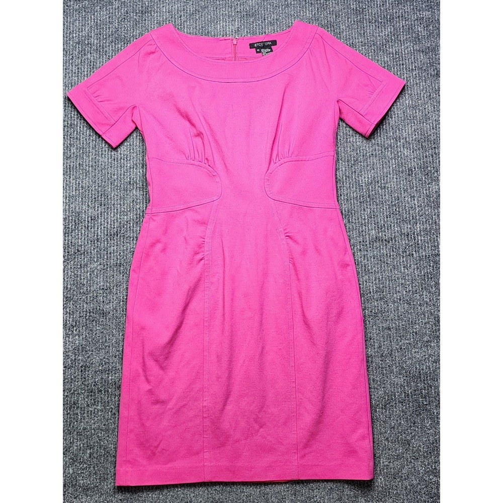 Etcetera Pink Short Sleeve Scoop Neck Sheath Dress Size 10 Seam Detail Lined